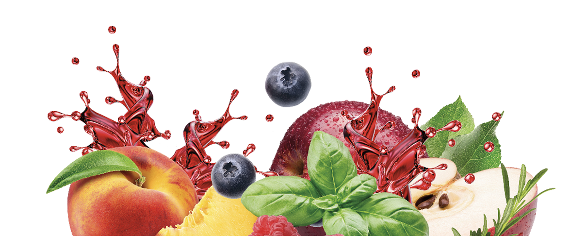 Obst mit Vitabalancesaft